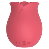 Rose (Pink)