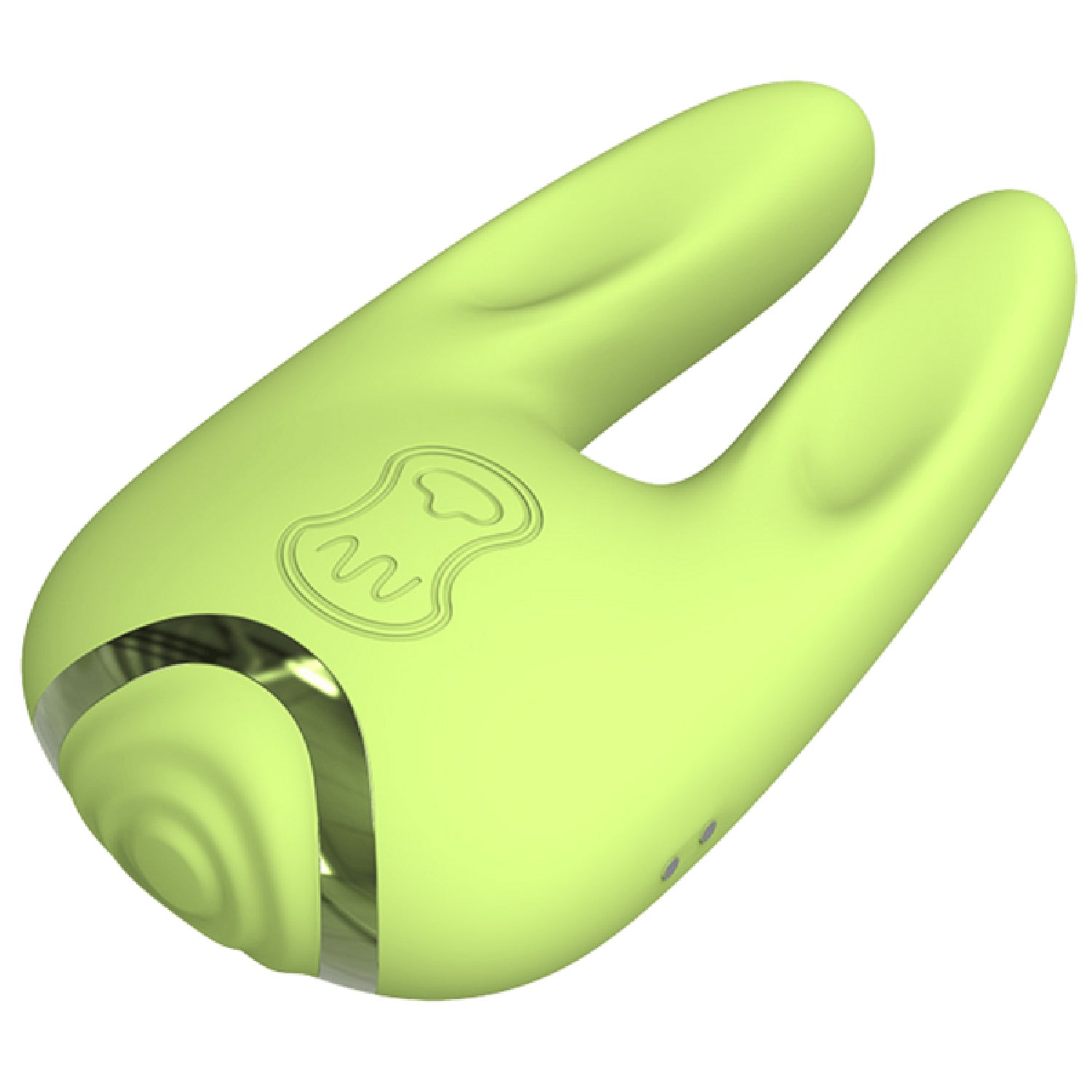Slide image