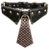 Collar and Leash