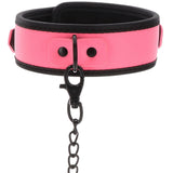 Glow Collar and Chain Leash (Pink)