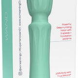 Wand Vibrator (Blueberry)