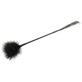 Whip with Tickle Feathers