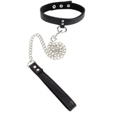 Follow the Leash with Collar