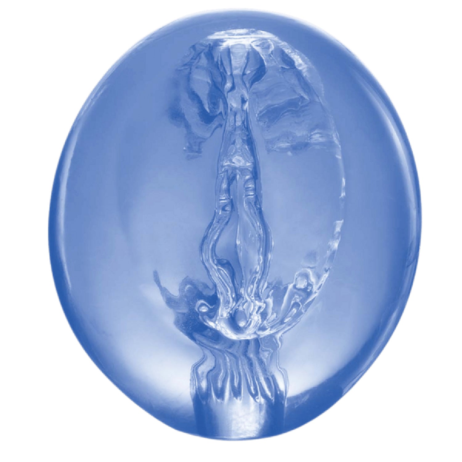Slide image