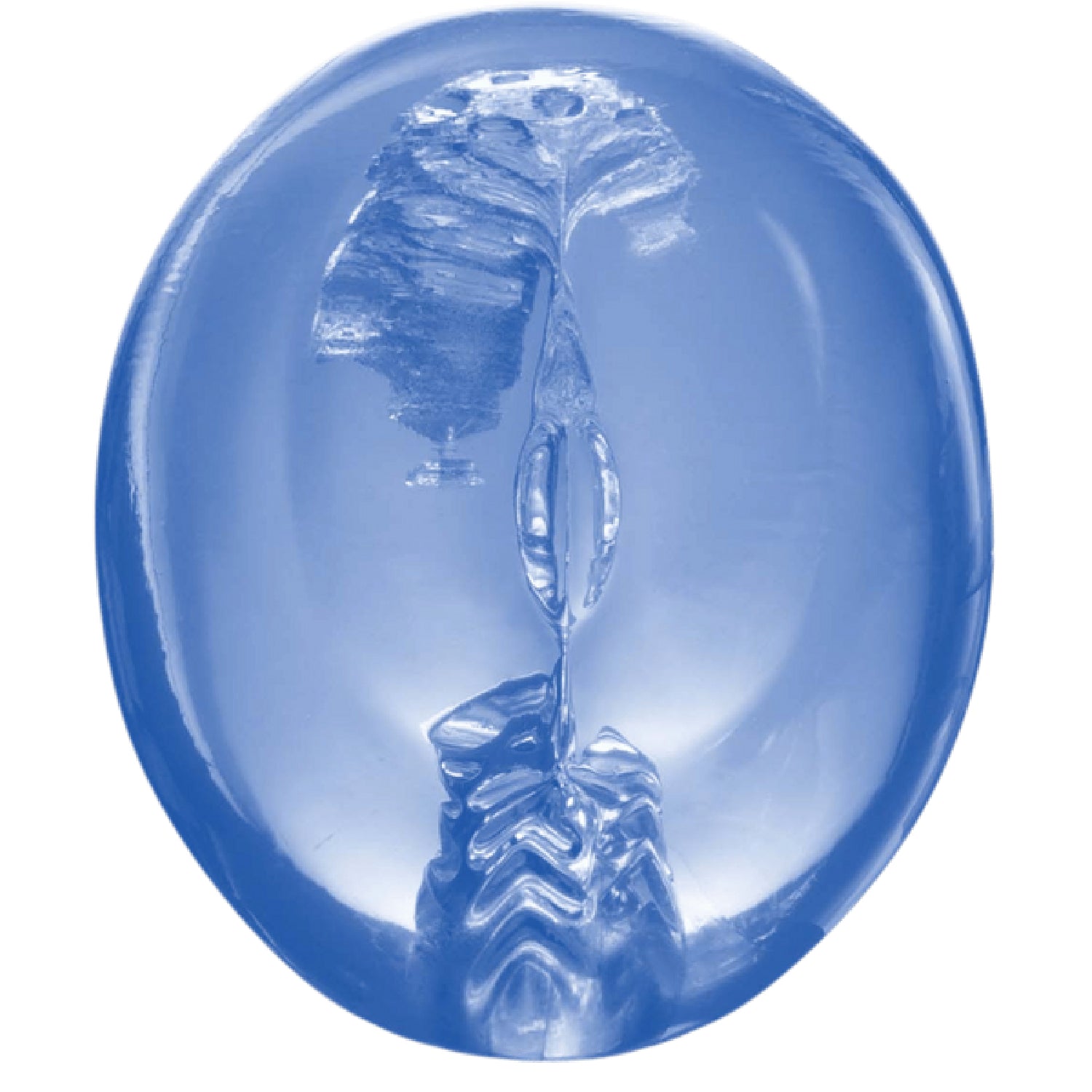 Slide image