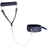 Collar and Leash (Black)