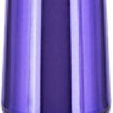 Rechargeable Anal Probe (Silver)