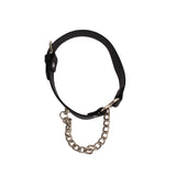 Heart Collar with a Chain