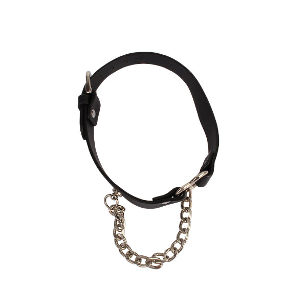 Heart Collar with a Chain
